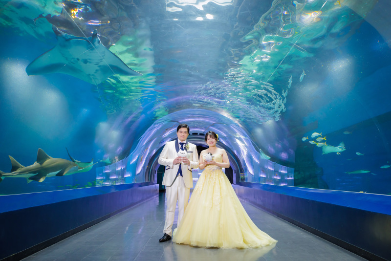 【洋装】カラードレスを着てアクアパーク撮影