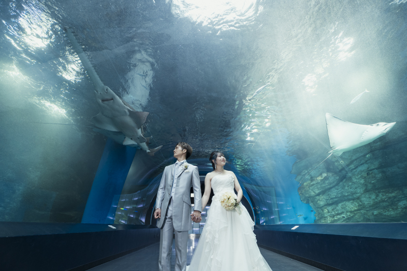 ワンダーチューブ