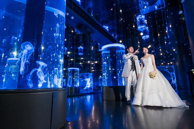 幻想的なクラゲエリア