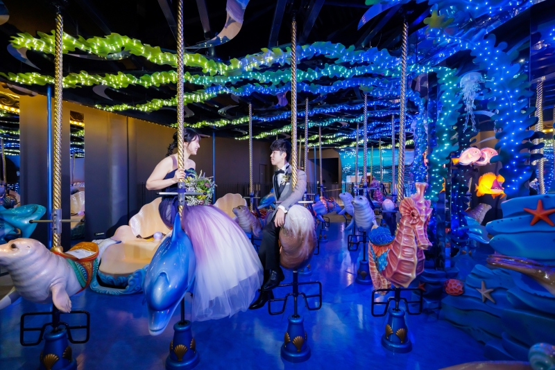 大好きなイルカにのって