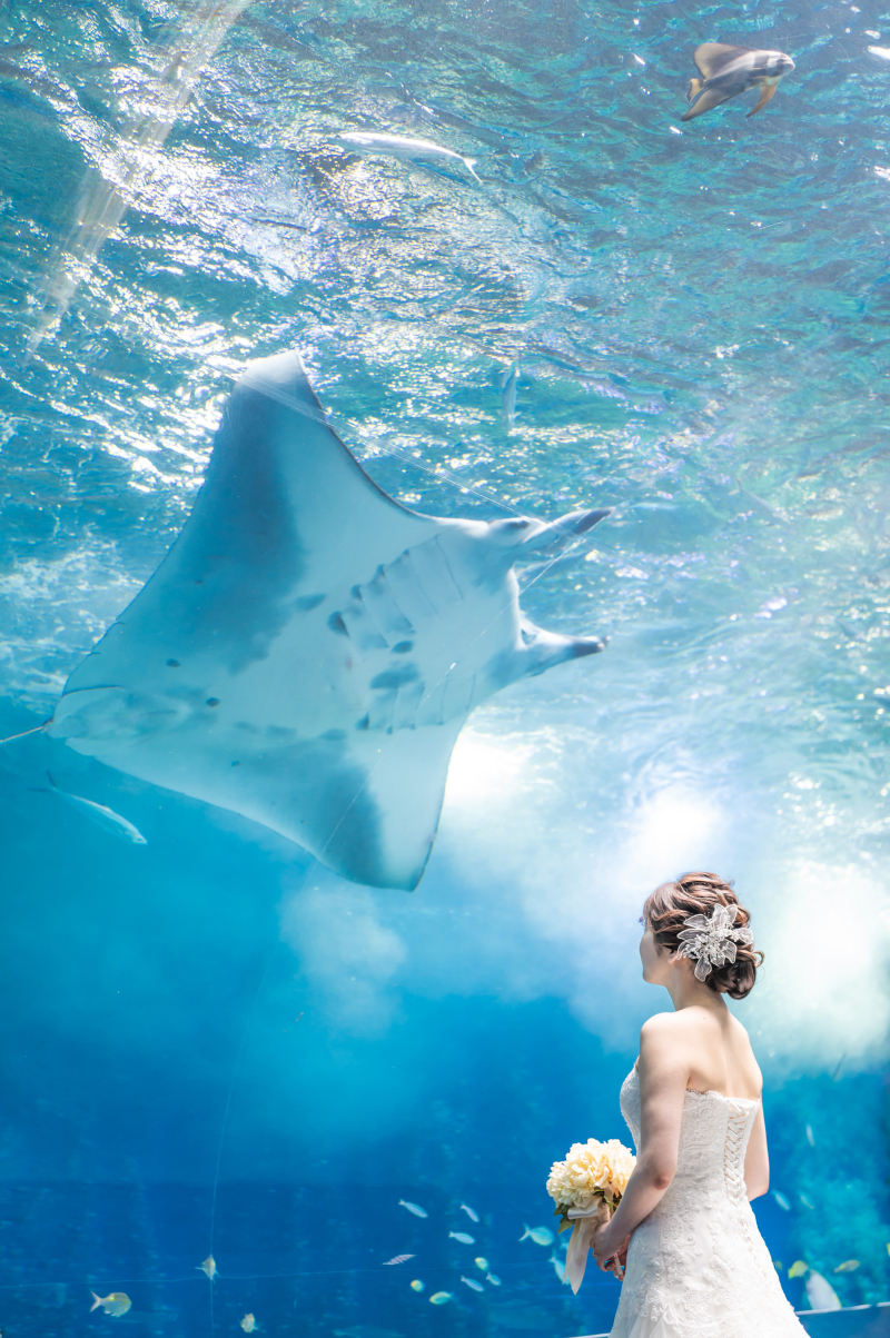 ワンダーチューブ2