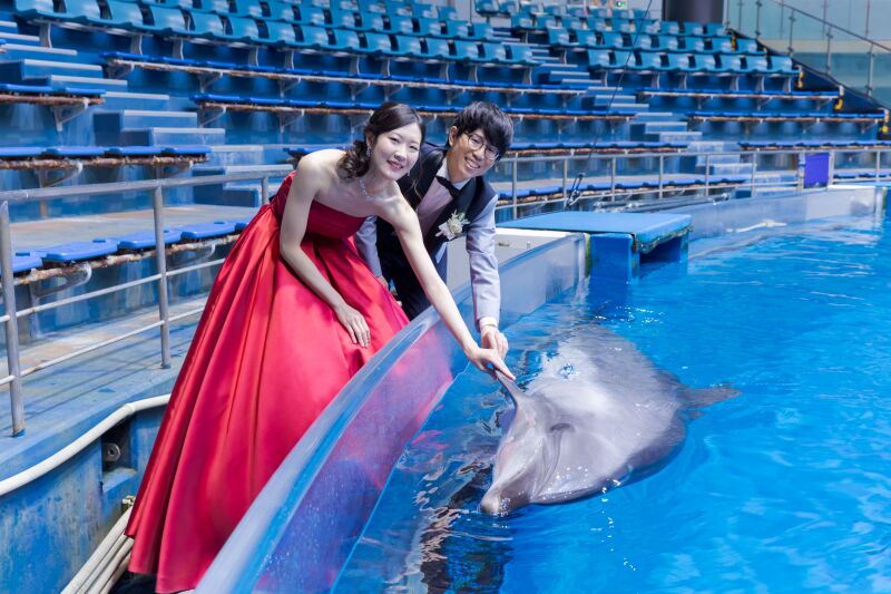 楽しい水族館撮影