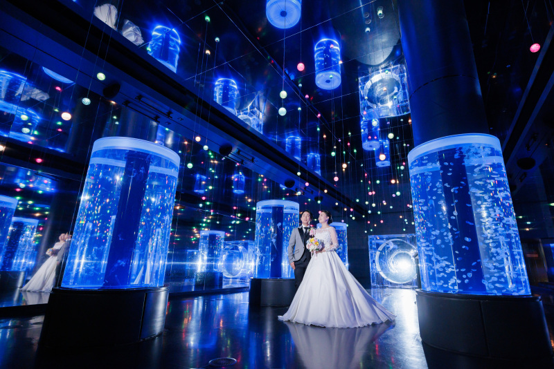 クラゲエリアへ