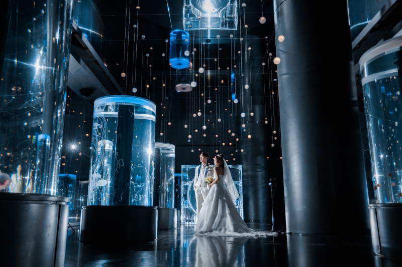 幻想的な世界観