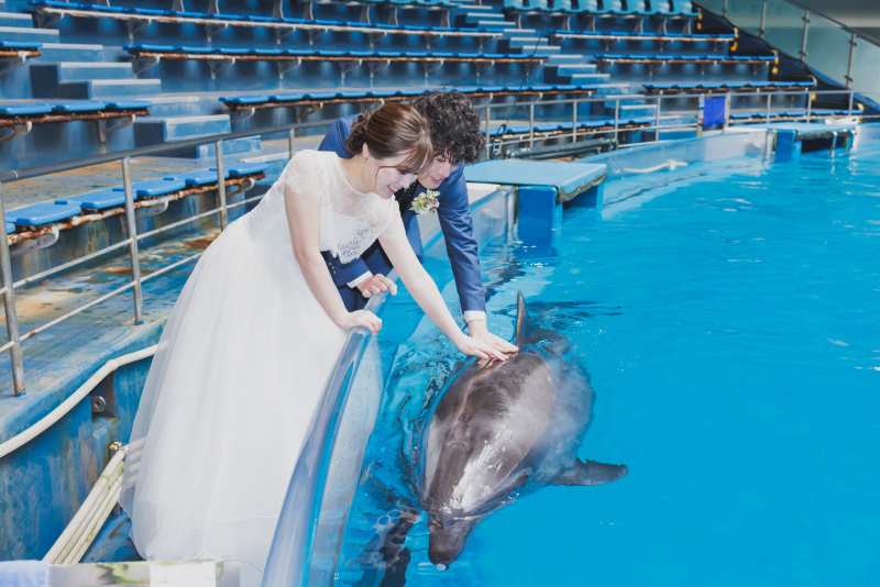 イルカとふれあい♡