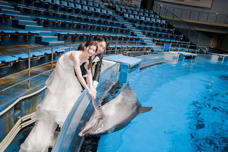 イルカさんと握手