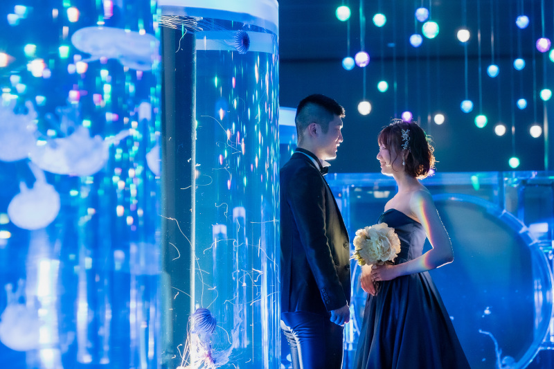 ジェリーフィッシュランブル