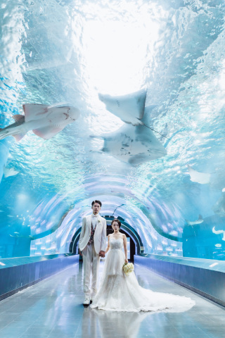 【アクアパーク品川】