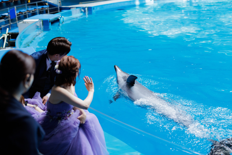 イルカタッチも体験