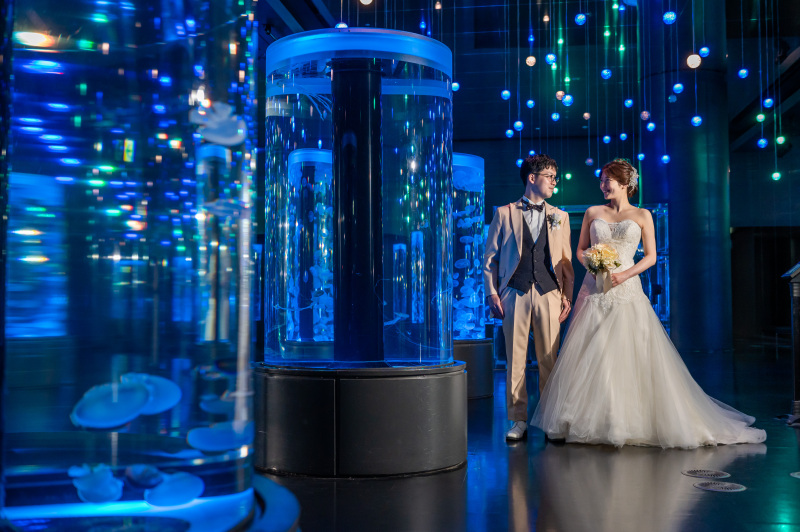 ジェリーフィッシュランブル