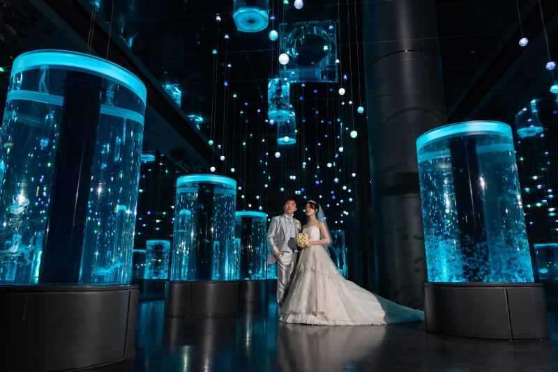 ジェリーフィッシュランブル