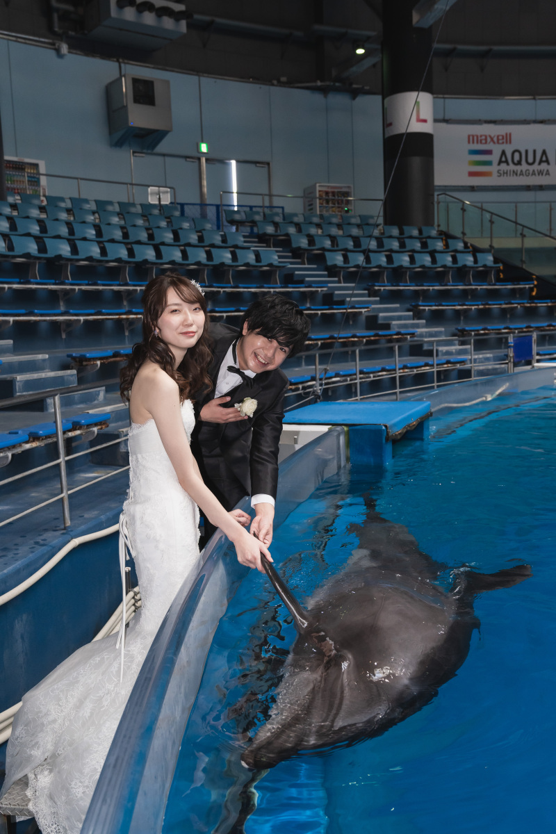 イルカタッチ♪