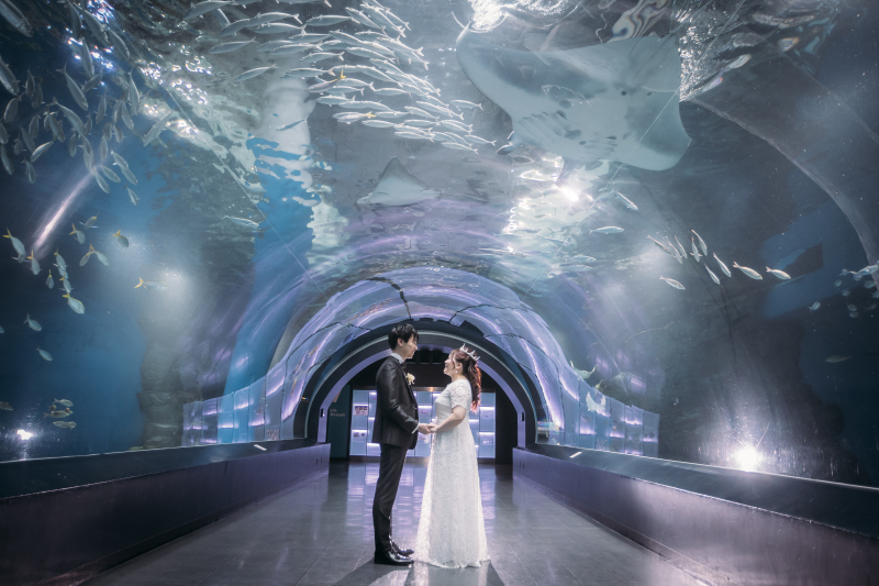 マンタと一緒に