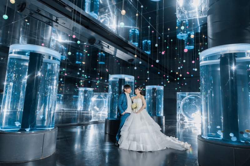 クラゲと一緒に