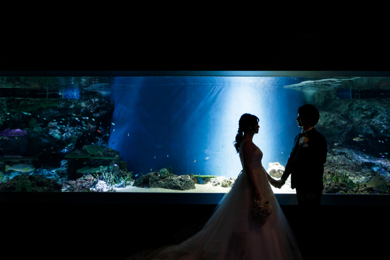 シルエット撮影