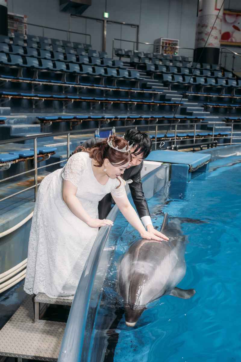 イルカと一緒に