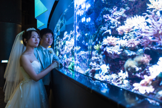 貸切の水族館撮影♪