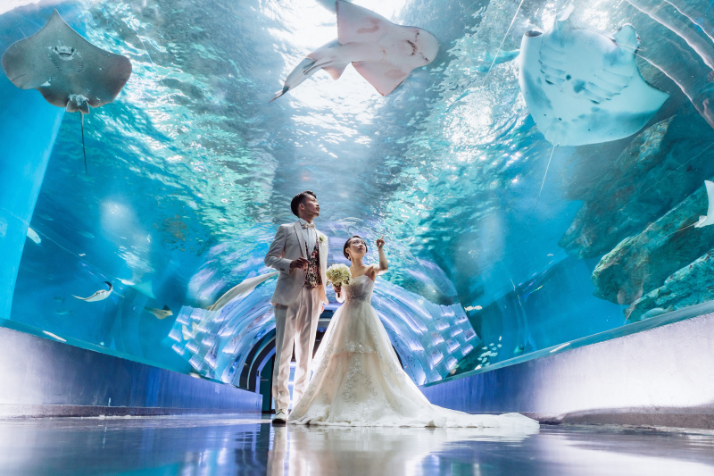 ワンダーチューブ part2