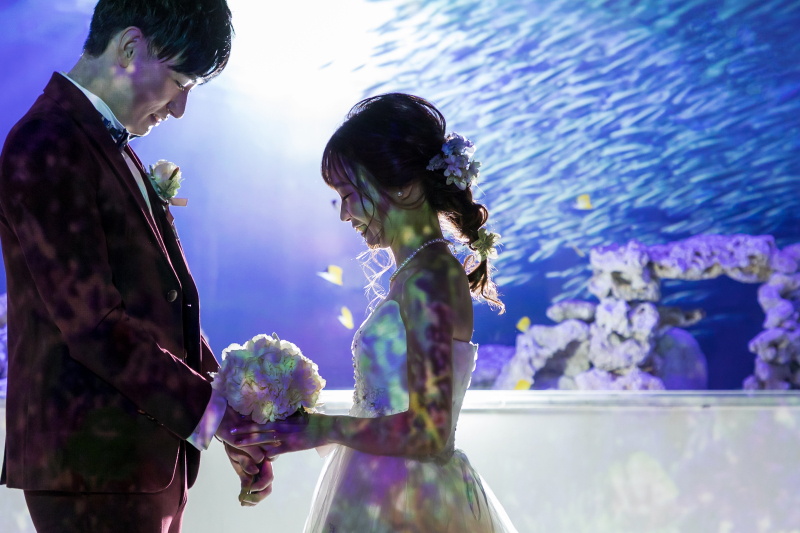 ウェルカム水槽