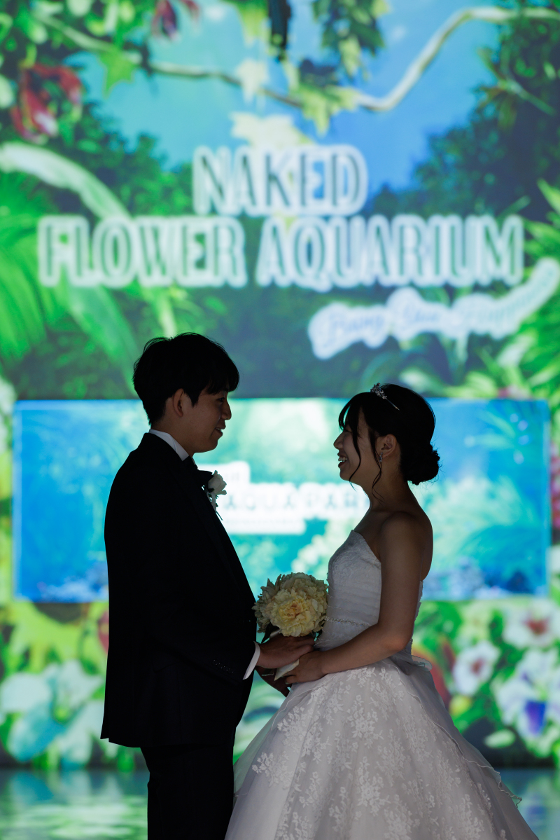 プロジェクションマッピング