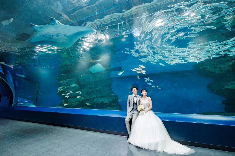 迫力満点の撮影！