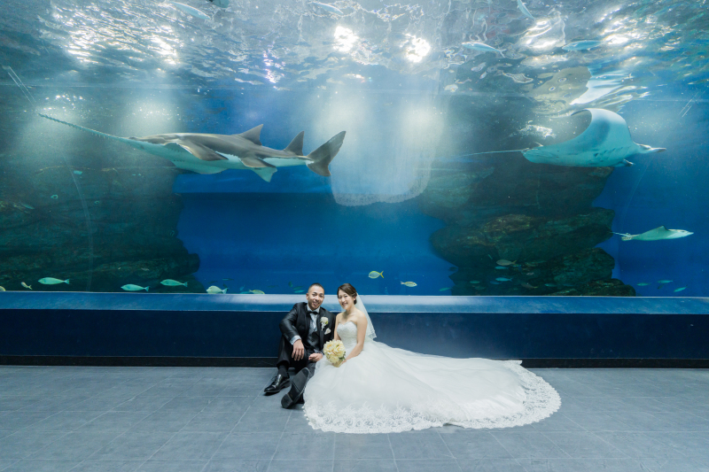 タイミングばっちり！