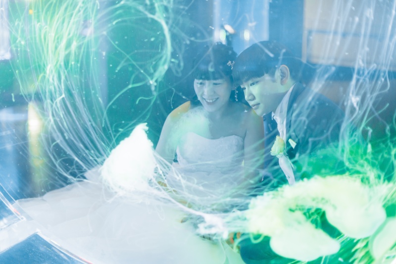 水槽越しのおふたり