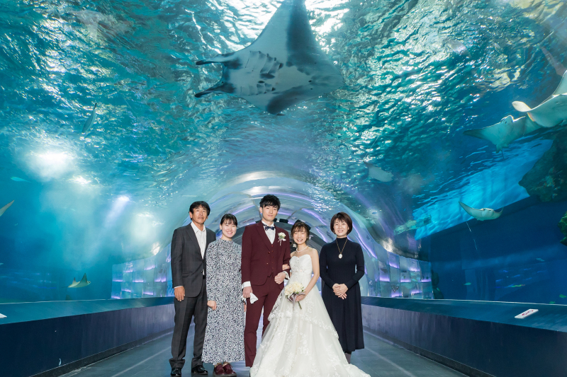 ワンダーチューブ