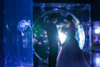 【洋装】水族館で貸切撮影♪