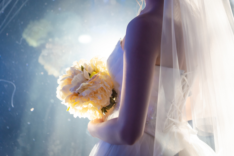 ジェリーフィッシュランブル②