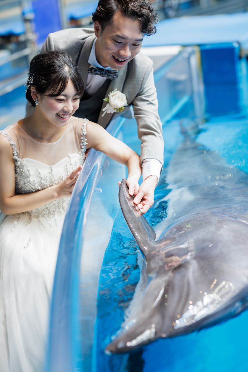 イルカとタッチ！