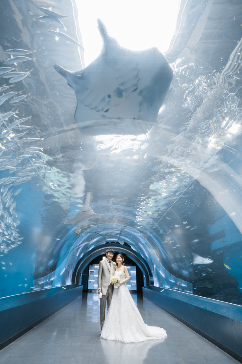 マンタからの祝福