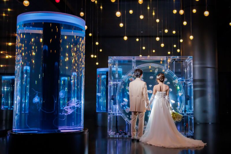 バックショット