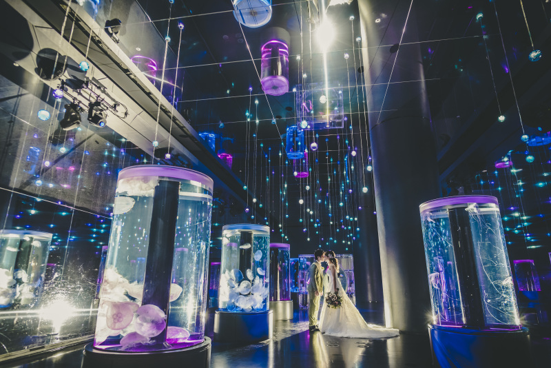 《生きものたちとアートが共演する神秘的な世界》