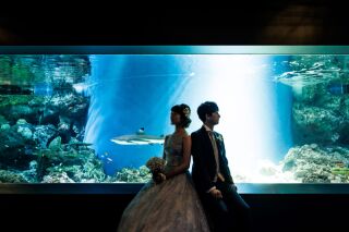 SWITCH東京（品川プリンスホテル内）_水族館を貸し切りに！幻想的な海の中のような撮影♪