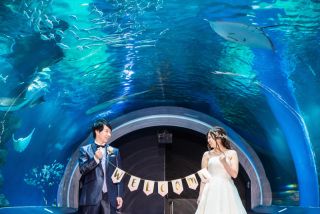 撮影小物お持込み