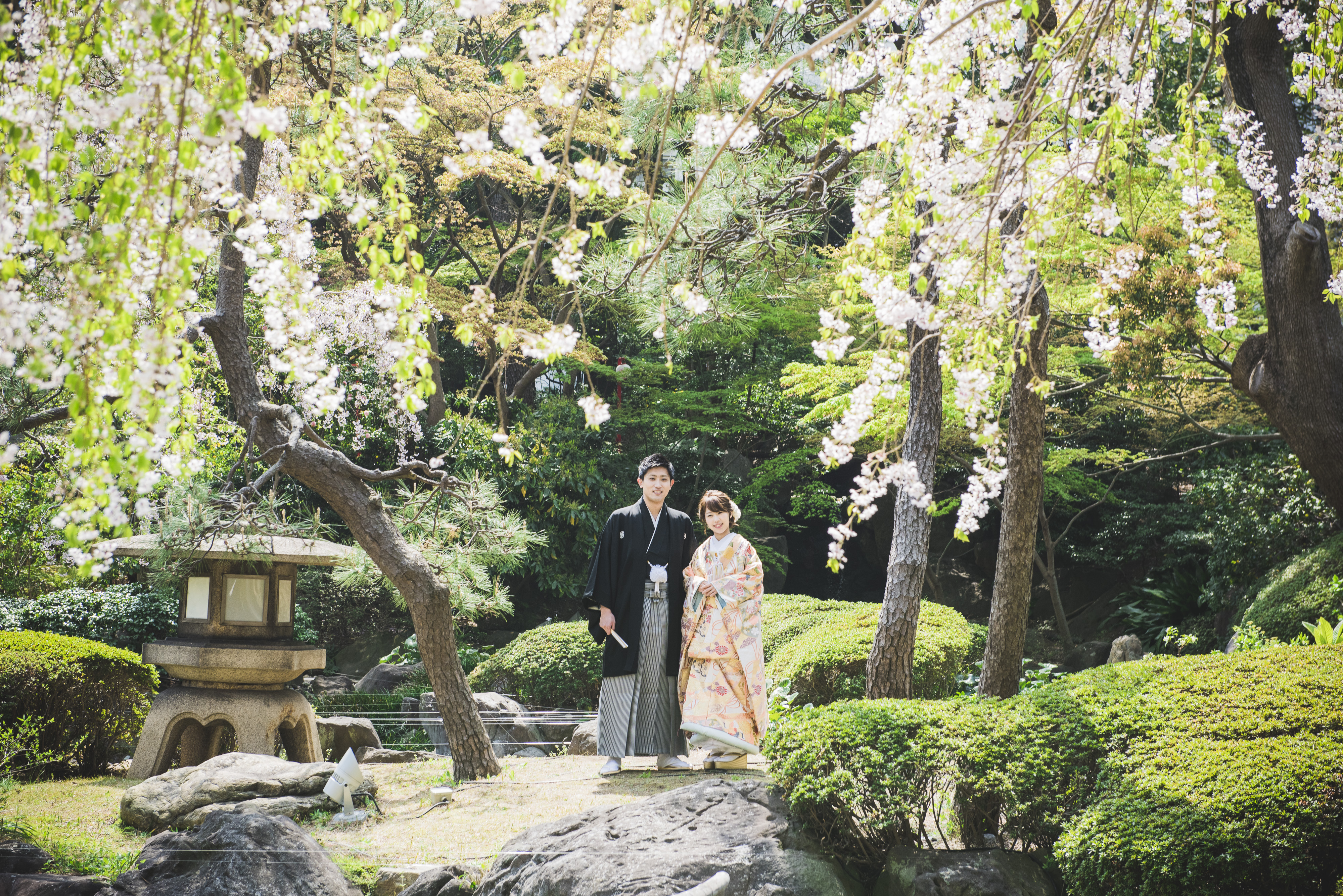 Point1 多彩な撮影シーン