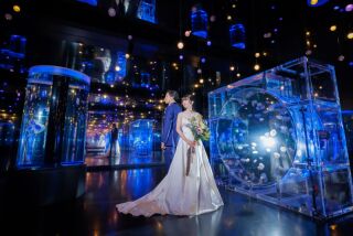 幻想的な雰囲気で飾りたくなる1枚