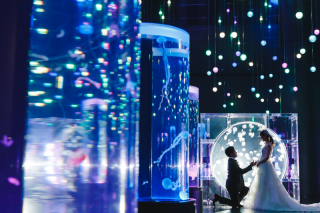 貸切の水族館でロマンティックな撮影