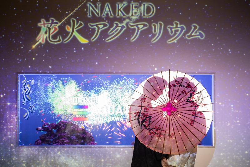 《AQUA PARK品川/和装ロケーションフォト》水族館の照明・水・魚たちが幻想的な雰囲気を演出*撮影+衣装+美容+データ付き◎