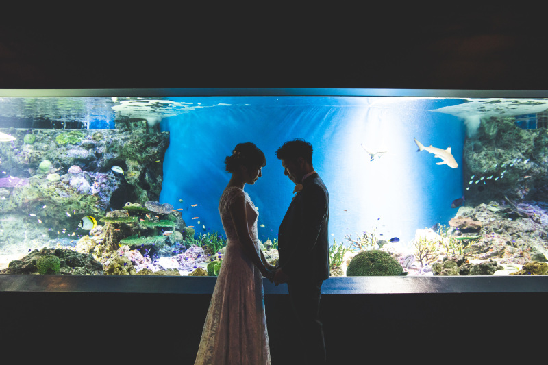 《AQUA PARK品川/洋装ロケーションフォト》*撮影+衣装+美容+データ+アルバム付◎