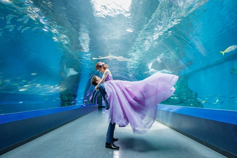 【10月11月撮影のこり僅か!】AQUA PARK品川/洋装ロケーションフォト*撮料+データ+衣装+美容付*