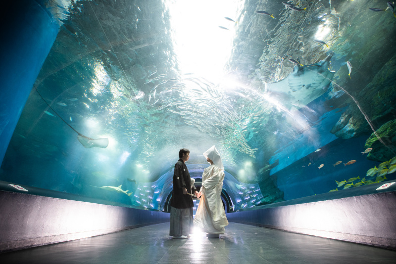 《AQUA PARK品川/和装ロケーションフォト》水族館の照明・水・魚たちが幻想的な雰囲気を演出*撮影+衣装+美容+データ付き◎