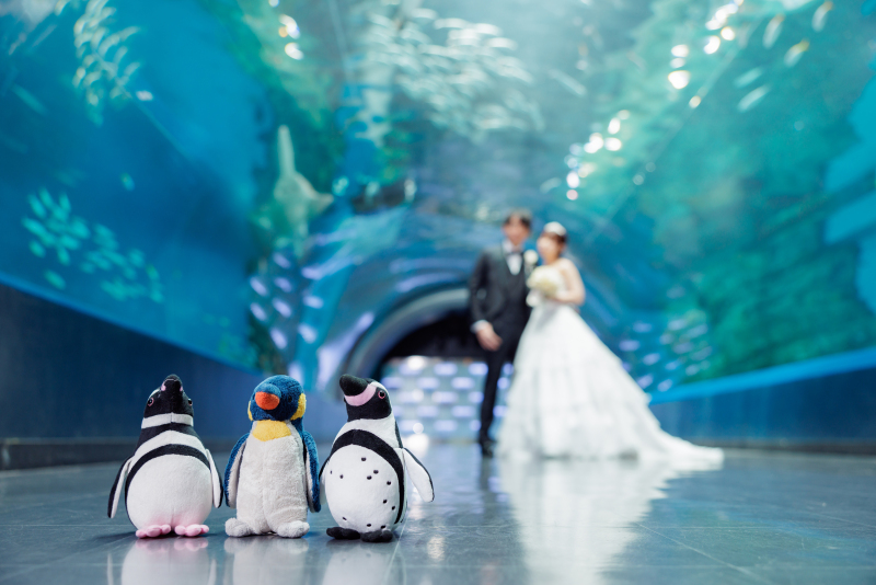 《AQUA PARK品川/洋装ロケーションフォト》水族館の照明・水・魚たちが幻想的な雰囲気を演出*撮影+衣装+美容+データ付き◎