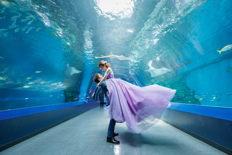 《AQUA PARK品川/洋装ロケーションフォト》*撮影+衣装+美容+データ+アルバム付◎