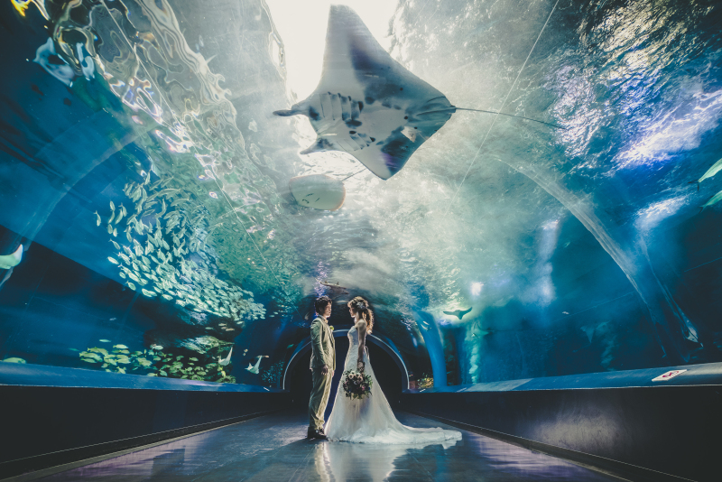 《AQUA PARK品川/洋装ロケーションフォト》水族館の照明・水・魚たちが幻想的な雰囲気を演出*撮影+衣装+美容+データ付き◎