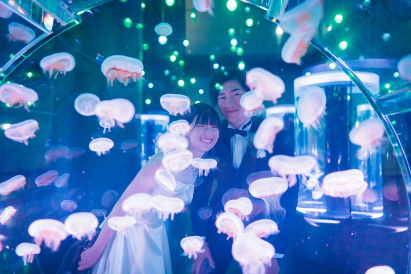 《AQUA PARK品川ロケーションフォト+洋装スタジオ》*撮影+衣装+美容+データ付き