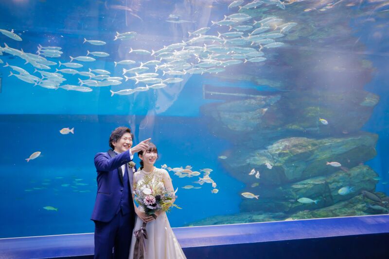 《AQUA PARK品川ロケーションフォト+洋装スタジオ》*撮影+衣装+美容+データ付き