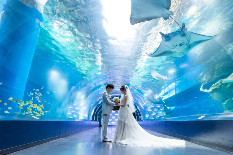 《水族館洋装ロケーションフォト+和装スタジオ》撮影+衣装+美容+データ付き