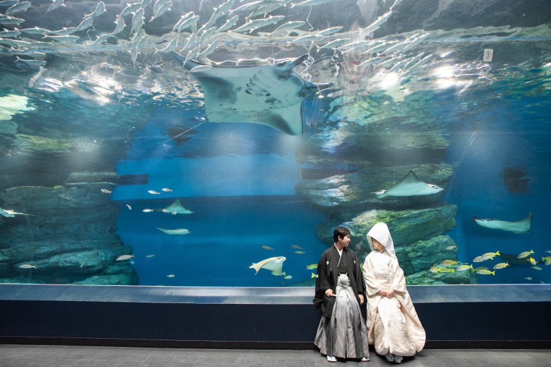 《AQUA PARK品川/和装ロケーションフォト》水族館の照明・水・魚たちが幻想的な雰囲気を演出*撮影+衣装+美容+データ付き◎